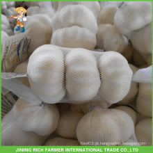 New Crop Fresh Pure Alho Branco Preço 5.0CM Mesh Bag Em Carton